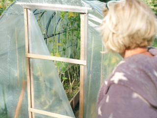 Woman and damaged greenhouse