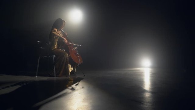 The cellist performs on stage.