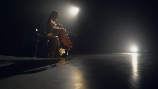 The cellist performs on stage.