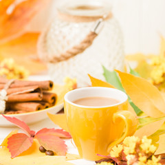 Autumn banner with cup of coffee with cinnamon on white wooden background with colorful tree leaves.