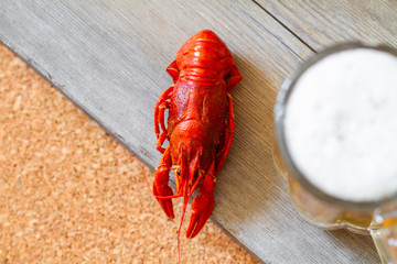 Boiled red crawfish near a cold beer mug. Top view, closeup, selective focus, wooden background