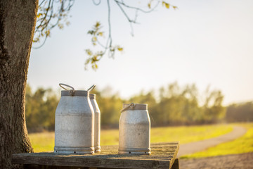Fototapeta premium Milchkannen auf Holztisch