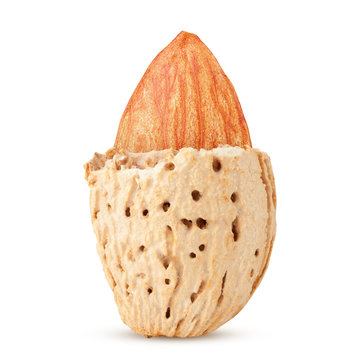 Almond nut in shell isolated on white background, clipping path, full depth of field