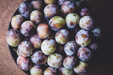 Fresh and ripe plums in metal bowl on rusty metal background. Closeup, selective focus