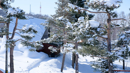 Inside of Asahiyama Zoo area in winter season with snow cover, the popular zoological garden in Japan
