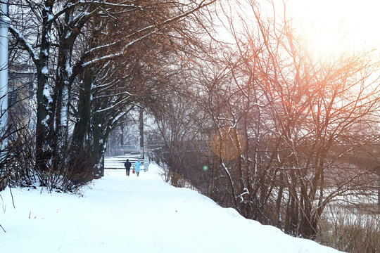 alley pathway park winter