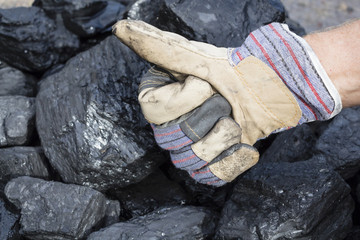 Miner shows coal with a thumbs up on the background of coal