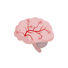 Brain icon isolated on white background, medical illustration in flat design. Cerebral circulation and spasm of cerebral arteries and veins supplying the brain, migraine, headache concept.