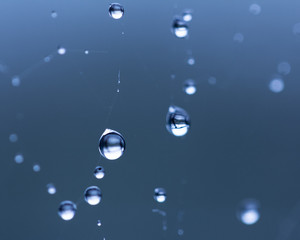 droplets
