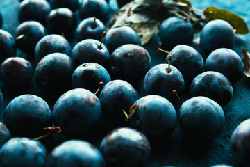 many fresh plums on blue background close up.