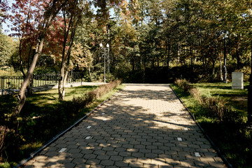 path in park in autumn