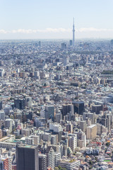 Naklejka premium 東京の空