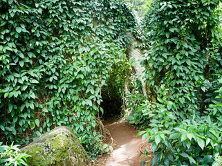 Obraz premium Hawaii Waimea Valley