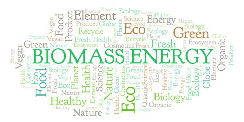 Fototapeta premium Biomass Energy word cloud.