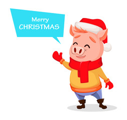 Merry Christmas. Cute pig wearing Santa Claus hat