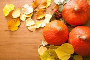 Autumn composition with yellow leaves and pumpkin