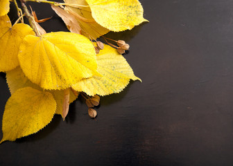 Obraz premium Autumn leaves on a background of ebony