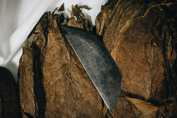 Handcrafted manufacture of Tuscan cigars, with seasoned leaves of Italian tobacco