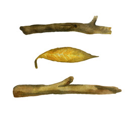 Set of watercolor elements on a white background. In the set is a willow leaf and  knots. This is an autumn set that can be used as decorative elements for your composition.