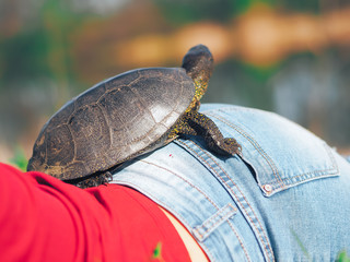 Turtle sitting at the girls ass