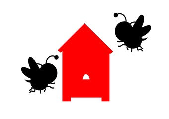 pszczoła © monikakosz