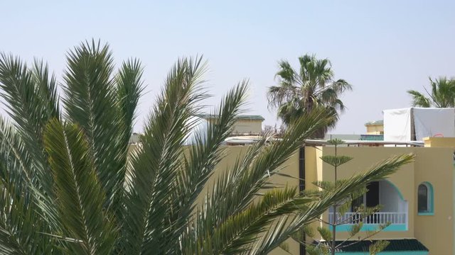 Tropical vacation. Beautiful tropical landscape with palm trees on blue sky background in resort