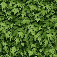 Design of abstract leaves. Foliage. Seamless plants pattern. Floral light green background for textile, fabric, wallpapers, covers, print, decoupage, gift wrap. Ornament of maple leaves