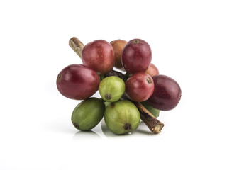 fresh coffee beans isolated on white background