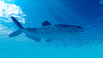 Fototapeta premium 3d rendered illustration of an enchodus