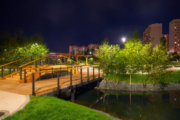 Beautiful city park on the outskirts of the city. View at night, with backlight, long exposure.