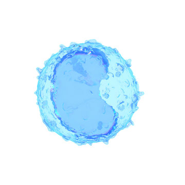 3d rendered medically accurate illustration of a monocyte
