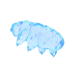 3d rendered illustration of a water bear