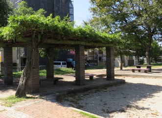 ベンチのある公園の風景