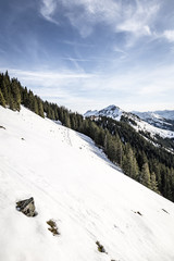 Fototapeta na wymiar Erster Schnee am Berg