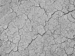 cracks in the ground
