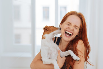 Laughing young woman being licked by a dog © contrastwerkstatt