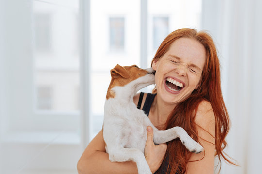 Laughing young woman being licked by a dog