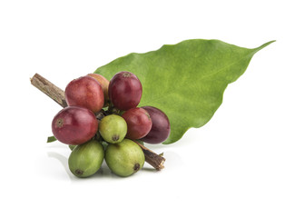 fresh coffee beans isolated on white background