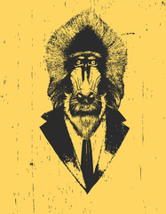 Portrait of Mandrill in suit, hand-drawn illustration, vector