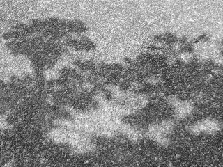 tree shadow on gravel texture as background