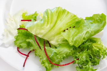 fresh green salad