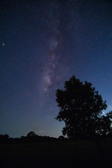 Obraz na płótnie Canvas Sky background at night and Milkyway