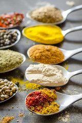 set of different spices and spices