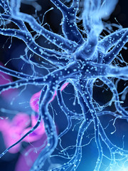 3d rendered medically accurate illustration of an human nerve cell