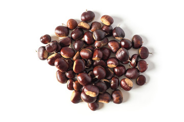 pile of chestnuts isolated