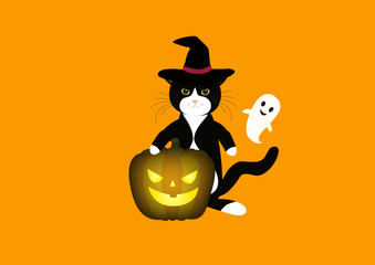 お茶目な白黒猫のハロウィーン