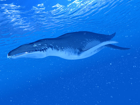 3d rendered illustration of a  Liopleurodon