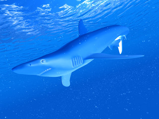 3d rendered illustration of a blue shark