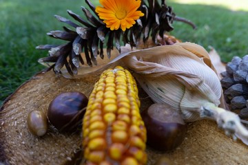 herbst stimmung