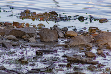 rocce in riva al lago